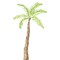 Small Palm Tree Wall Stencil | 2874 by Designer Stencils |